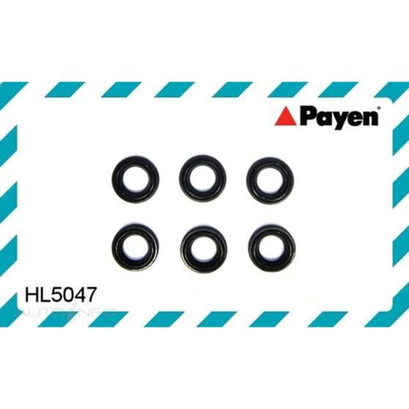Payen Spark Plug Tube Seal Set – HL5047