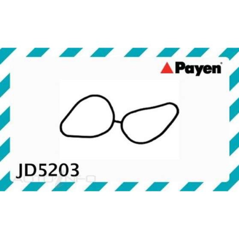 Payen Fuel Injection Plenum Gasket – JD5203