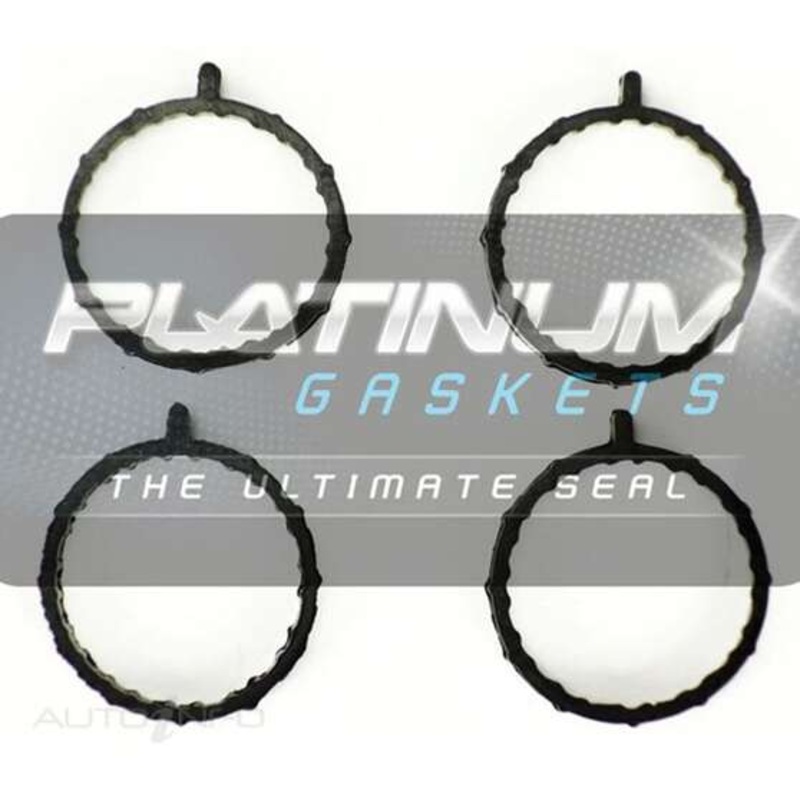 Platinum Intake Manifold Gasket Set – IMS704