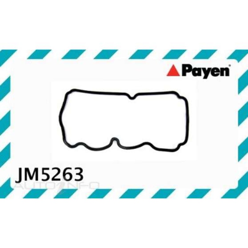 Payen Rocker Cover Gasket – JM5263
