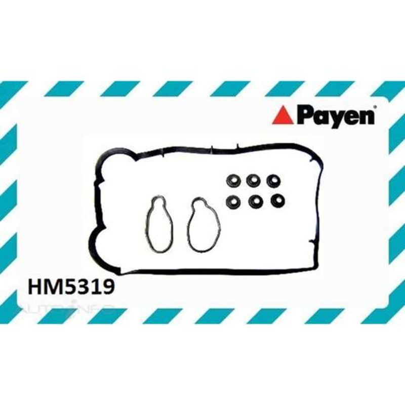 Payen Rocker Cover Gasket Set – HM5319