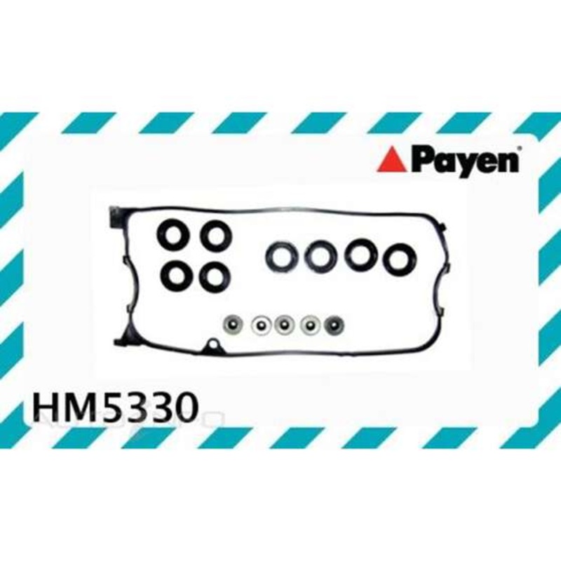 Payen Rocker Cover Gasket Set – HM5330