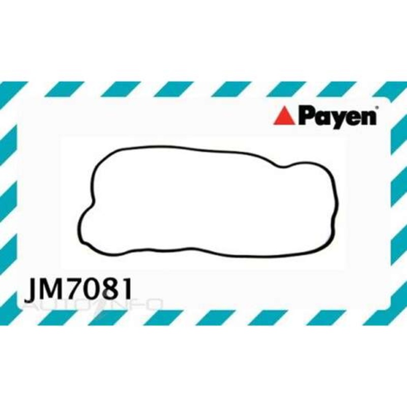 Payen Rocker Cover Gasket Set – JM7081