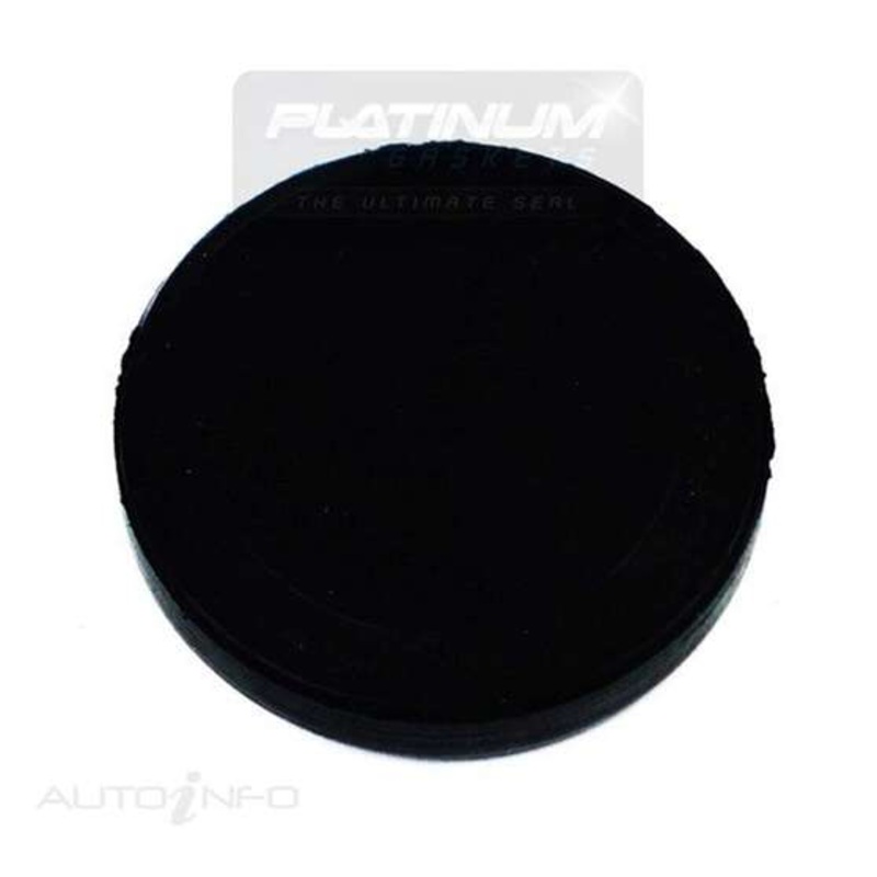 Platinum Camshaft End Plug Seal – PG533