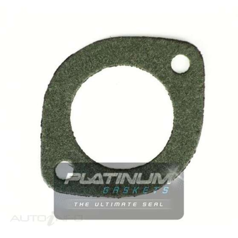 Platinum Thermostat Gasket – LS369