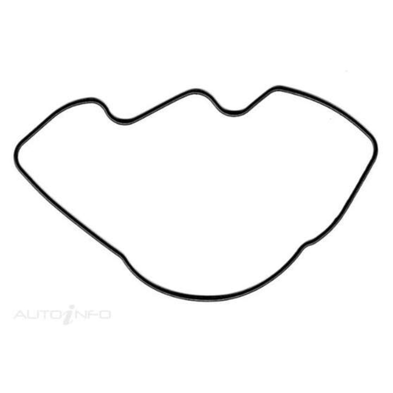 Protorque Oil Pumper cover/O Ring – LB567