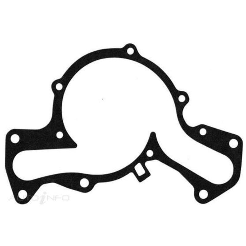 Protorque Water Pump Gasket – WPG119