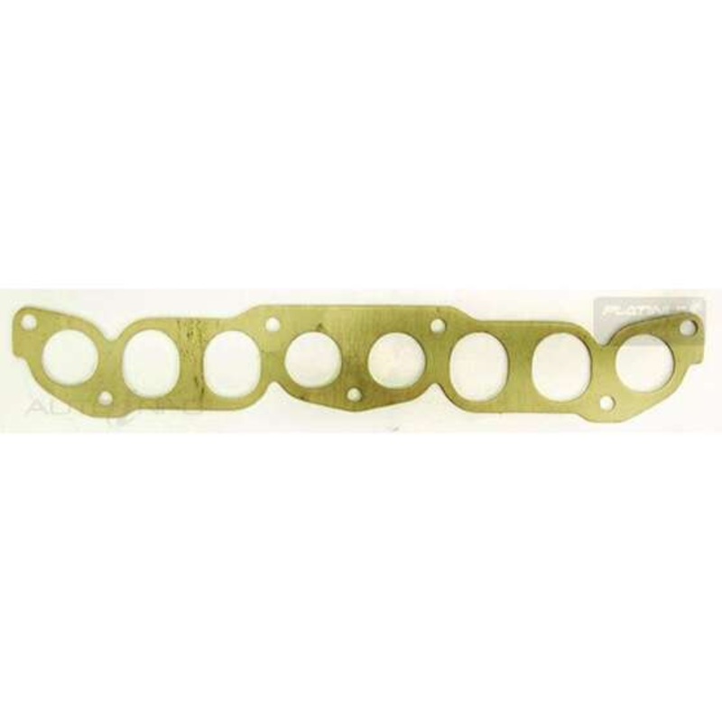 Platinum Extractor Gasket – HSM72
