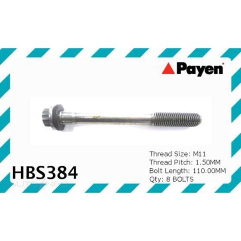 Payen Cylinder Head Bolt Set – HBS384