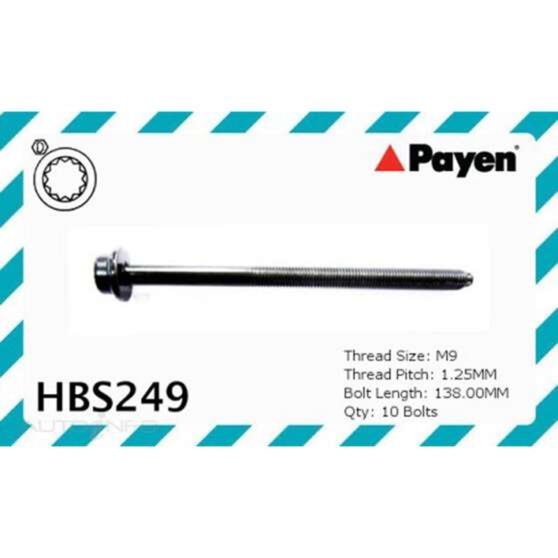 Payen Cylinder Head Bolt Set – HBS249