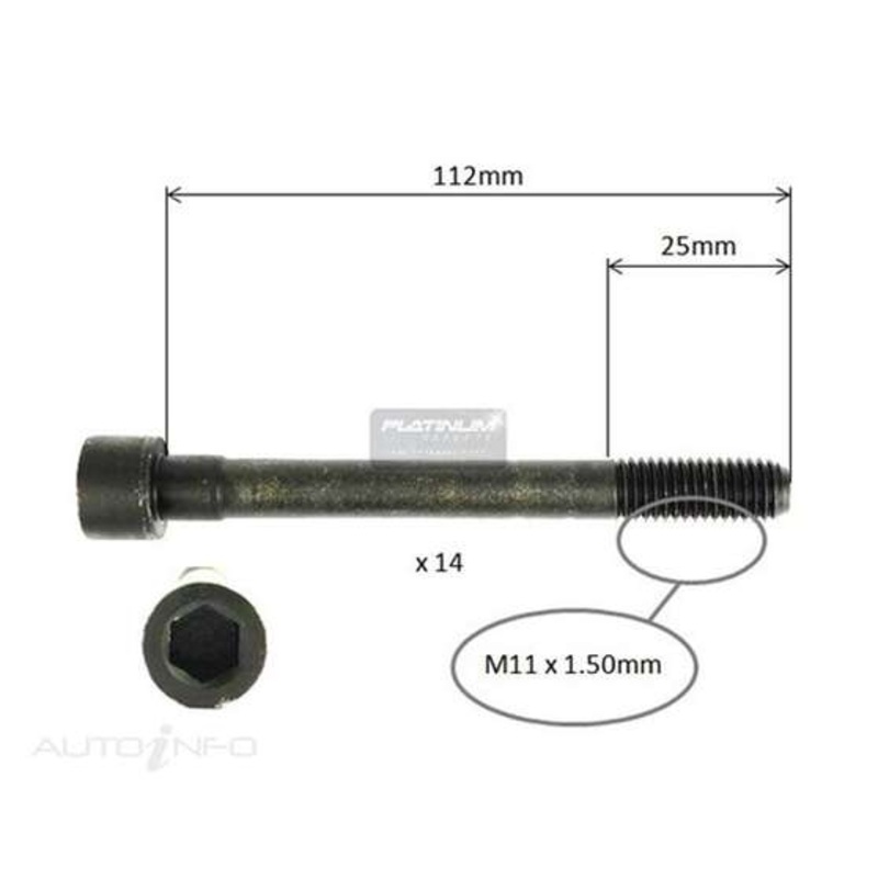 Platinum Cylinder Head Bolt Set – HBS0253
