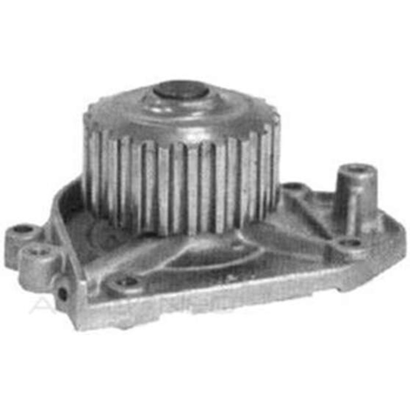 Protex Water Pump – PWP4012