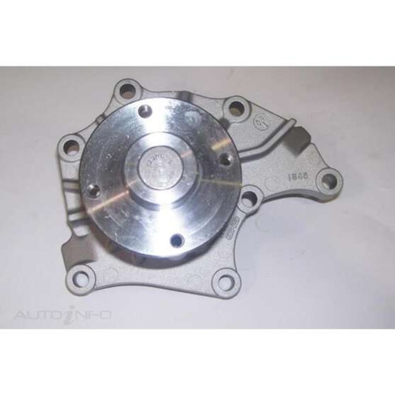 NEP Water Pump – W6105