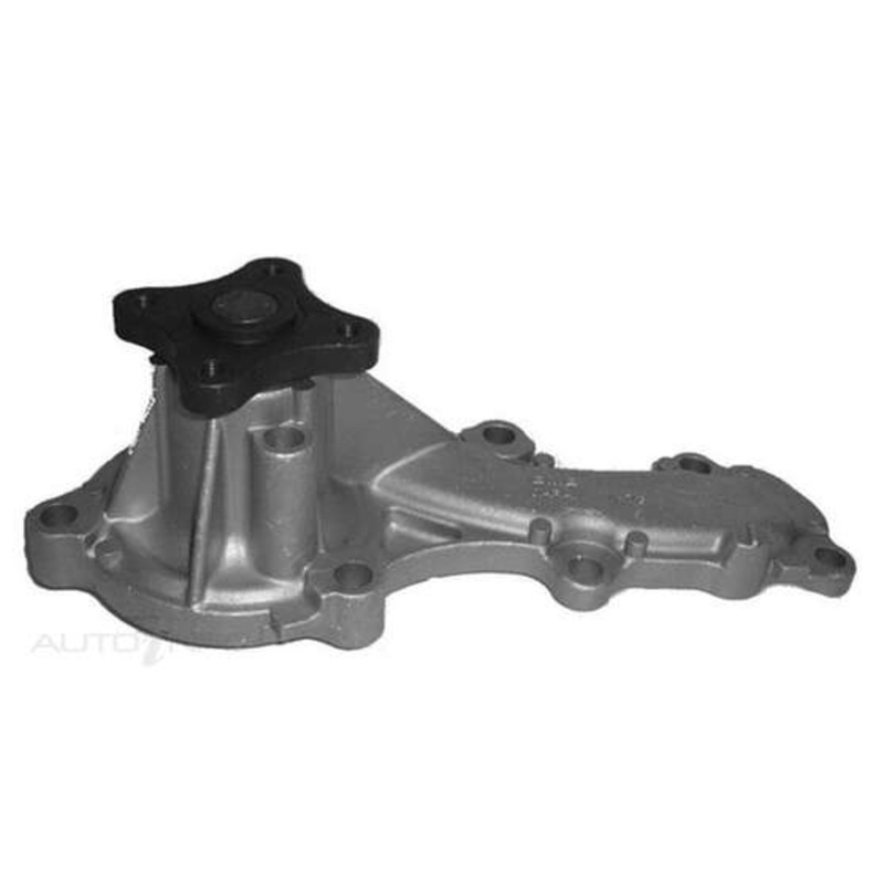NEP Water Pump – W8168