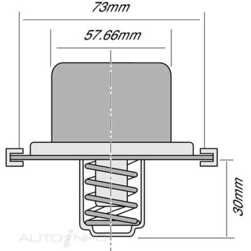 Tridon Thermostat – TT8800-170P