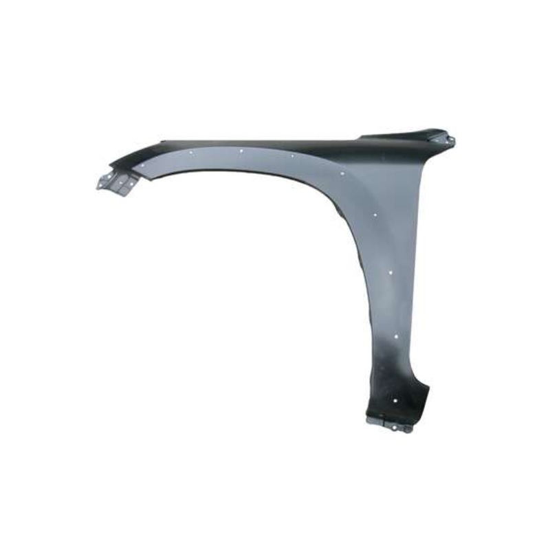 Sterling Front Guard to suit Toyota Rav4 08/2008 to 11/2012 – TYR4-GUD-18L