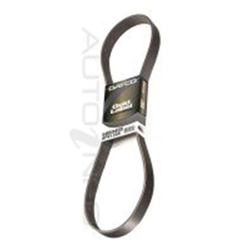 Dayco Gold Label Polyrib Belt – 8PK0950