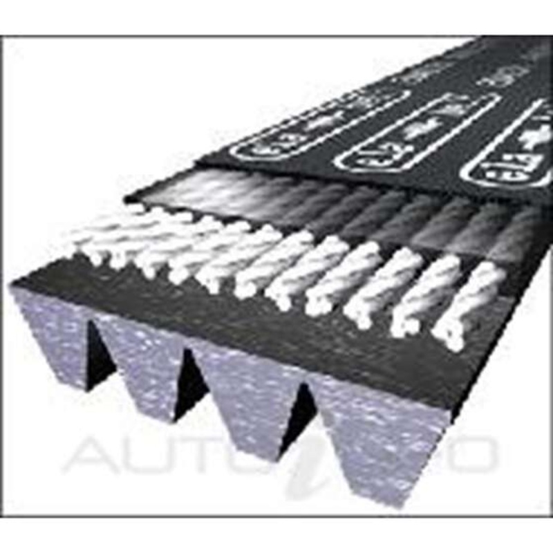 Dayco Polyrib Belt Elastica – 6PK0780EE