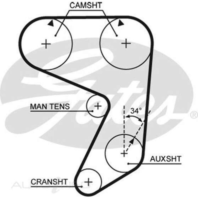 Gates Timing Belt – T019