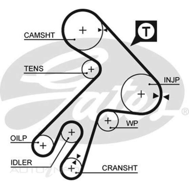 Gates Timing Belt – T098