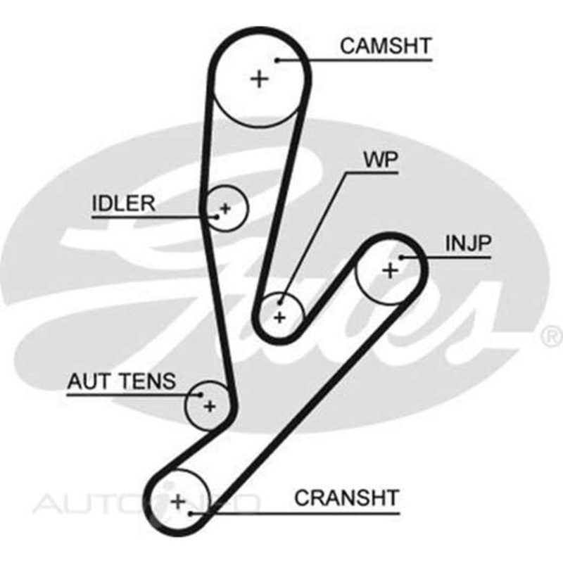 Gates Timing Belt – T1621