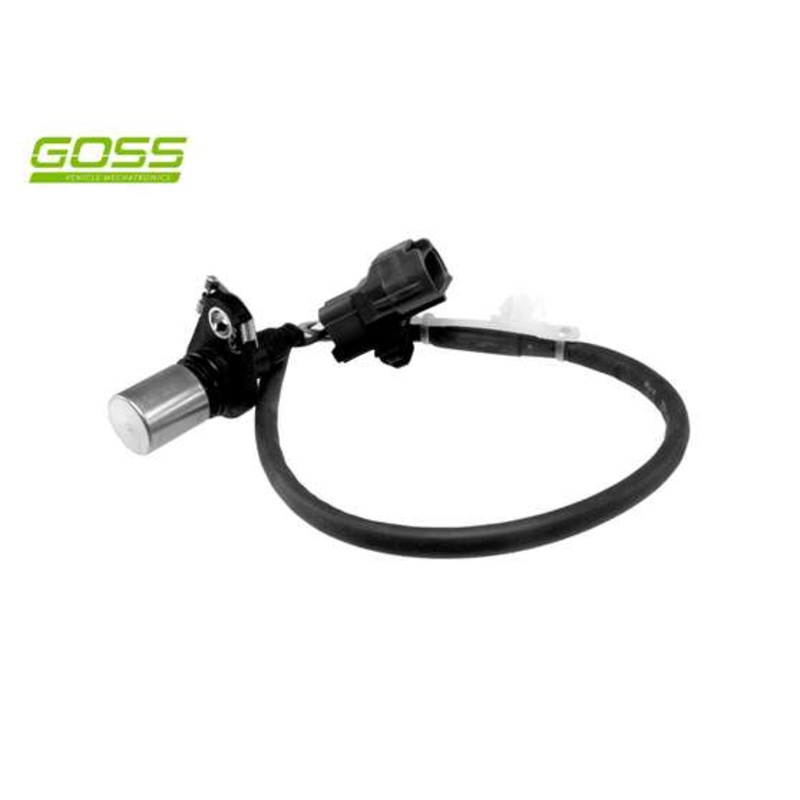 RAE Crankshaft Position Sensor – SC189