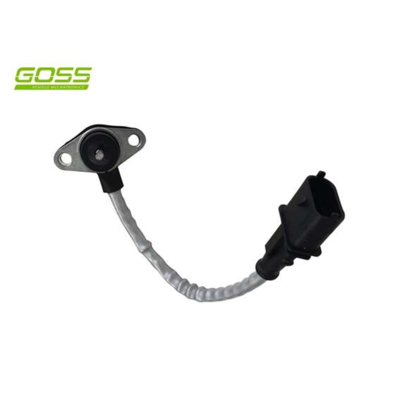 RAE Crankshaft Position Sensor – SC289