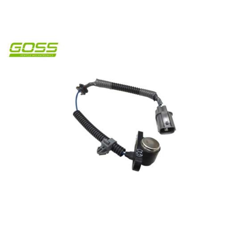 RAE Crankshaft Position Sensor – SC580