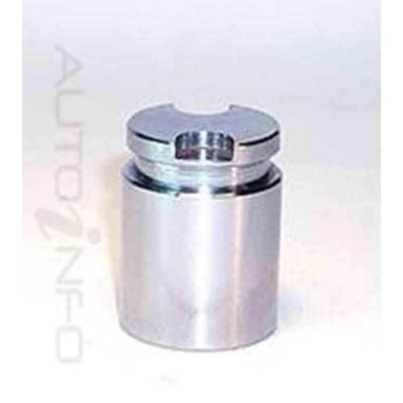 Protex Caliper Piston – 090P0273