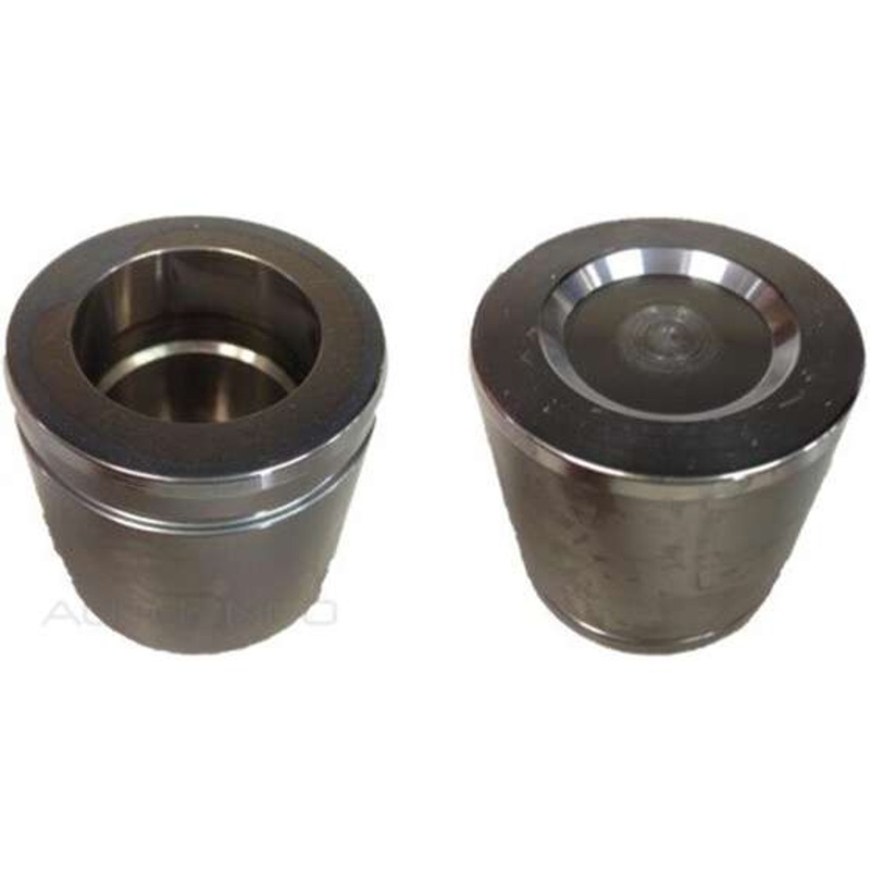 Protex Caliper Piston – 090P0478