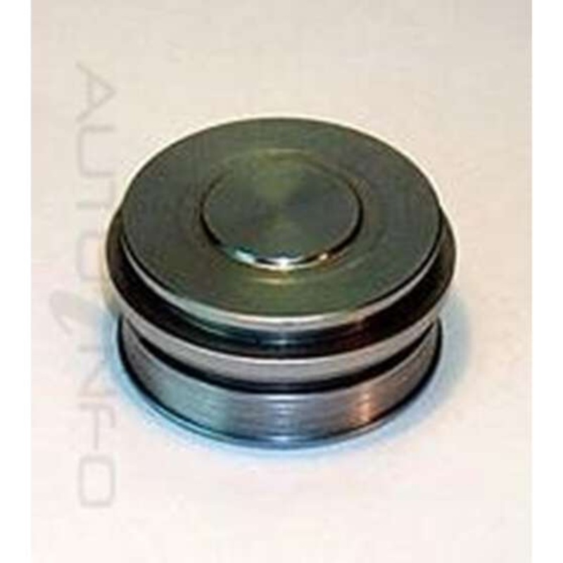Protex Caliper Piston – 090P0170