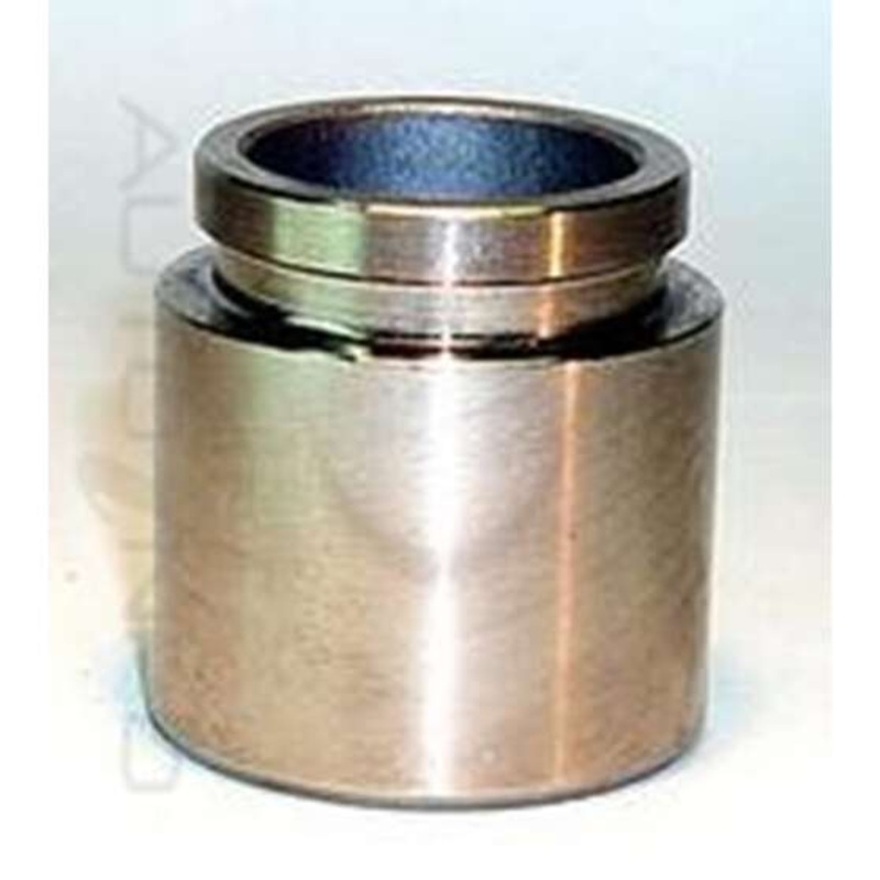 Protex Caliper Piston – 090P0304