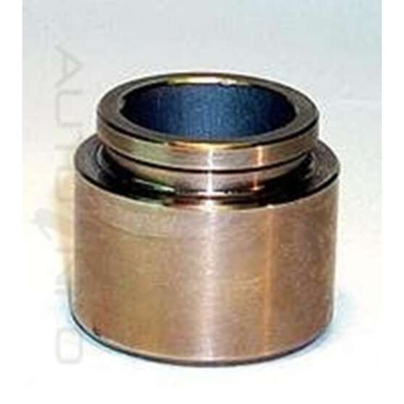 Protex Caliper Piston – 090P0320