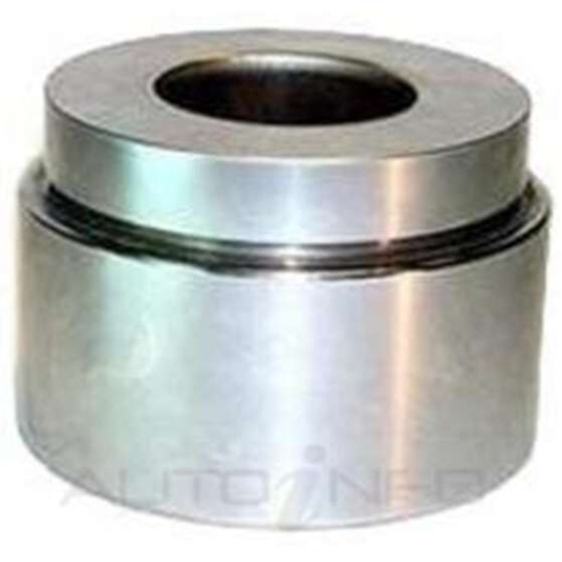 Protex Caliper Piston – 090P0442