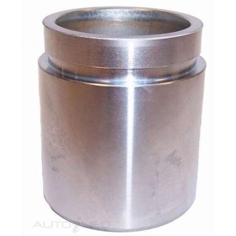 Protex Caliper Piston – 090P0502