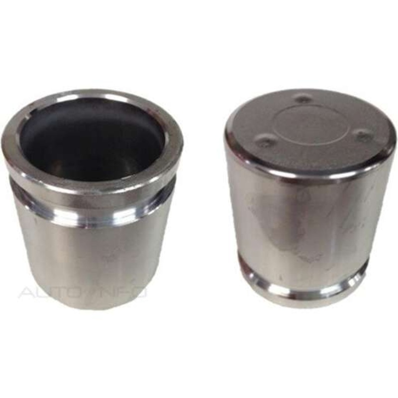 Protex Caliper Piston – 090P0523