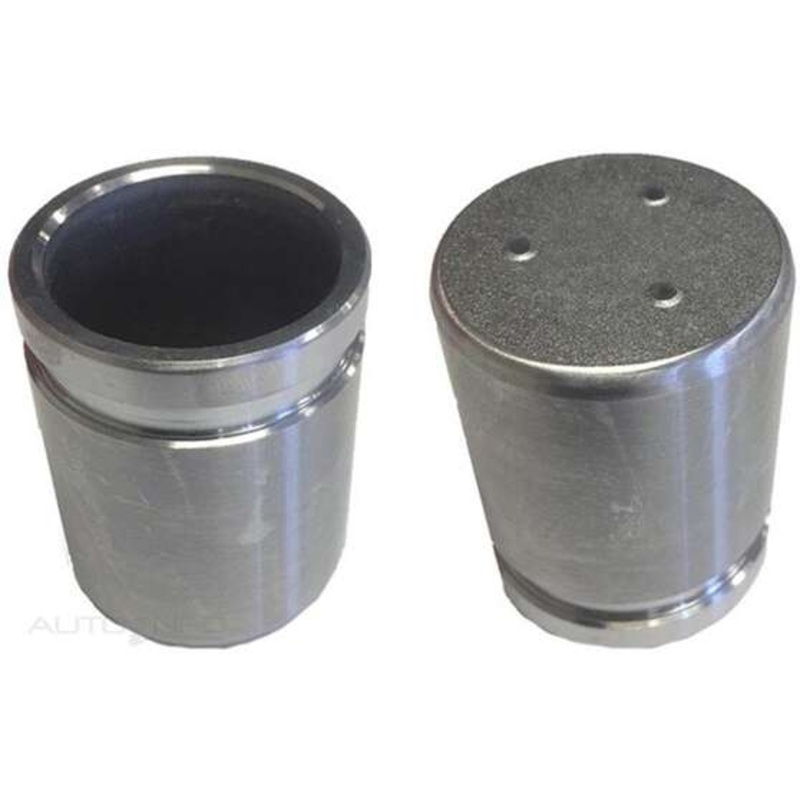 Protex Caliper Piston – 090P0613