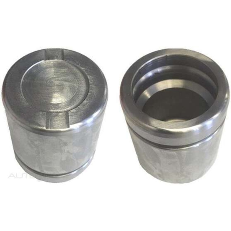 Protex Caliper Piston – 090P0614