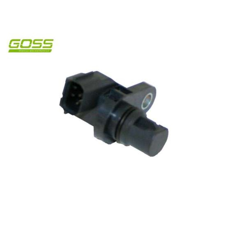 RAE Camshaft Position Sensor – SC428