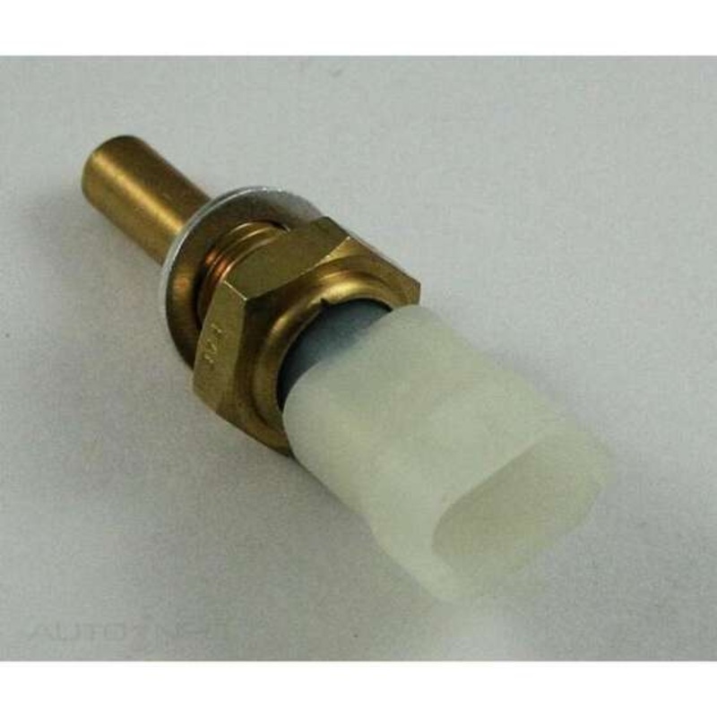 RAE Coolant Temperature Sensor – CS874