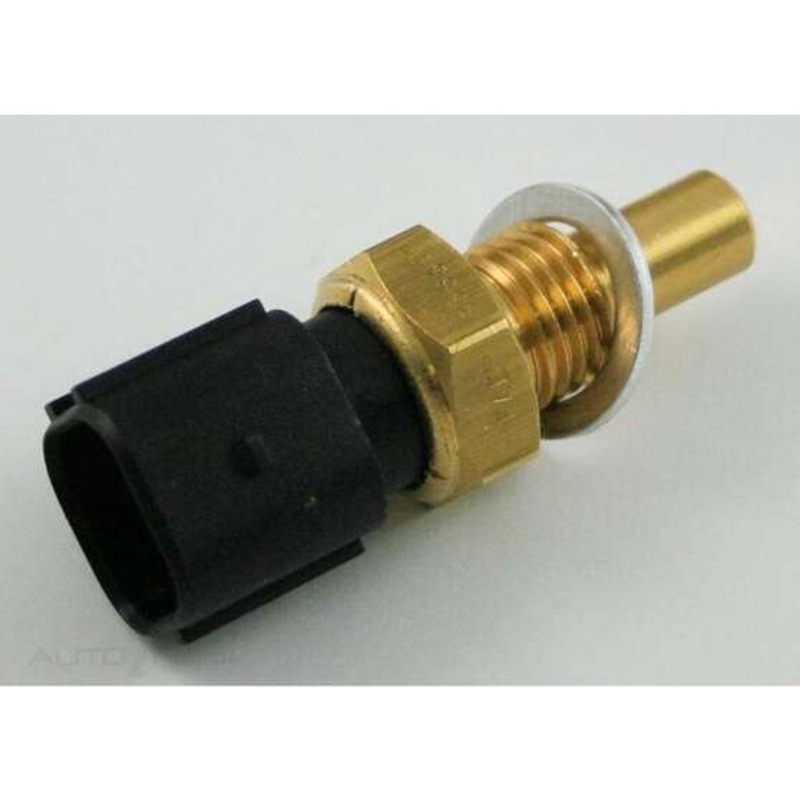 RAE Coolant Temperature Sensor – CS890