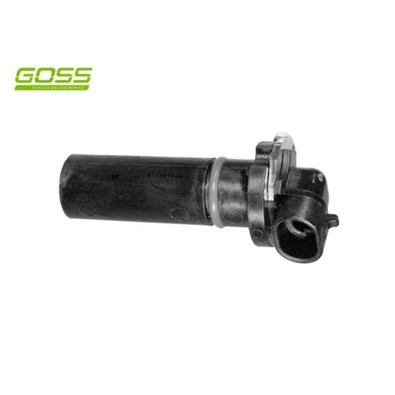 RAE Crankshaft Position Sensor – SC165