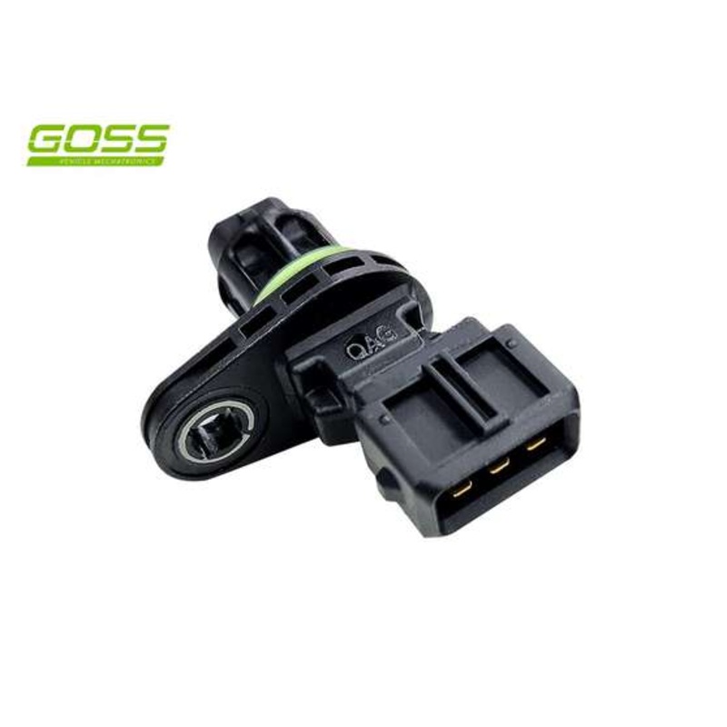 RAE Crankshaft Position Sensor – SC205