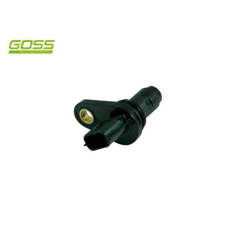 RAE Crankshaft Position Sensor – SC420