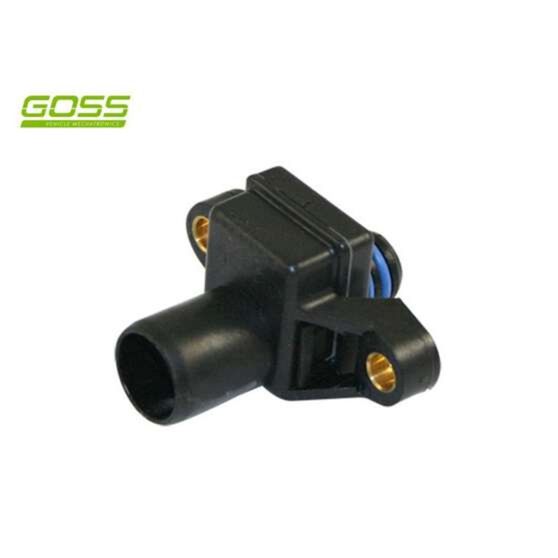 RAE MAP Sensor – MP207