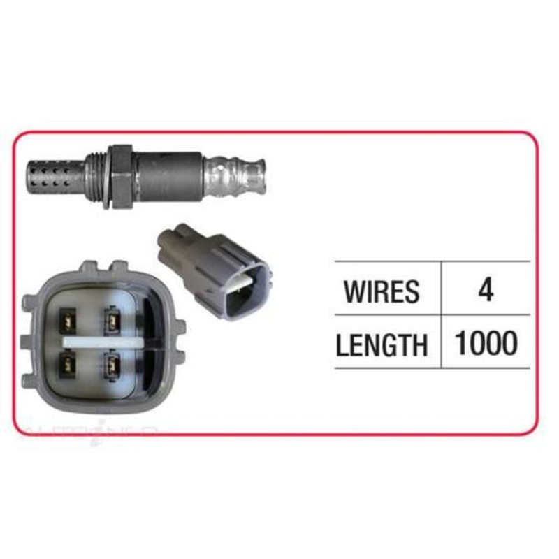 RAE Oxygen Sensor – OX393