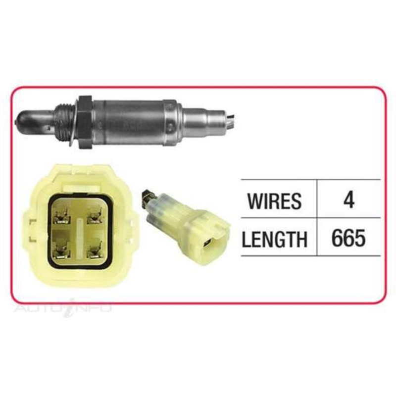 RAE Oxygen Sensor – OX600