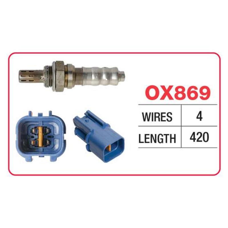 RAE Oxygen Sensor – OX869